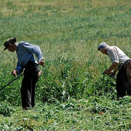 Turisme Rural Lo Palle De Cal Bosch Llagunes Ngoại thất bức ảnh