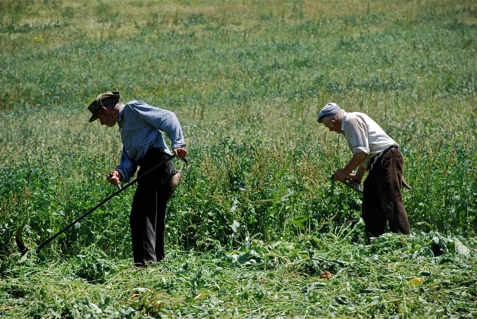 Turisme Rural Lo Palle De Cal Bosch Llagunes Ngoại thất bức ảnh